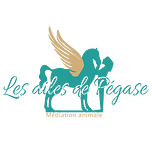 Les Ailes de Pégase