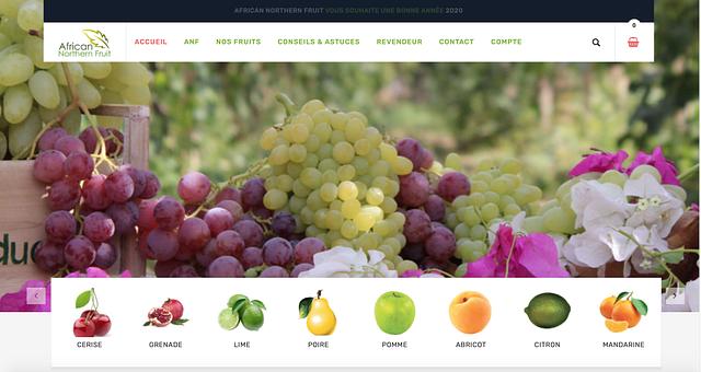 Site de vente en ligne par MSdev