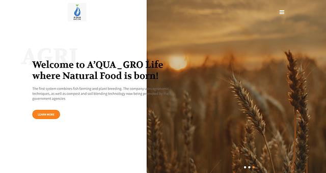 Site web AgriTech Startup par Ulrich Le Rocher