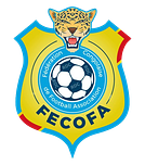 FECOFA (Fédération Congolaise de Football Association)