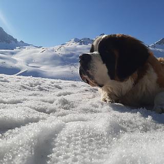 Sylvain  Batte Expert dropshipping