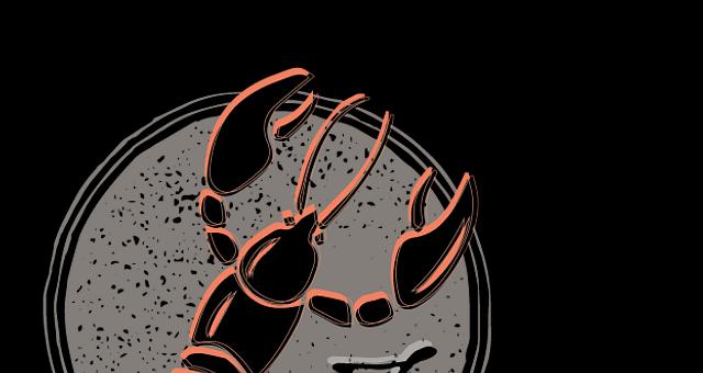 Creation reseaux sociaux par Camille Termignon