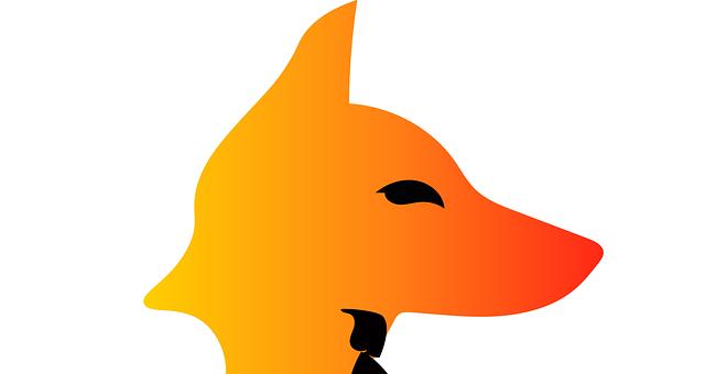 NGL par Bikienga  Bikienga Sougrimalgdé Abdoul Fatahou