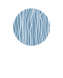 Seneo Concept