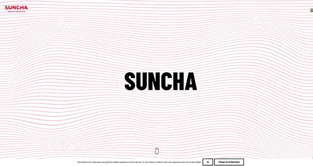 Directeur technique digital par Nicolas Grzybowski