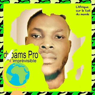 Diaby Adama Graphiste spécialisé en création de logo