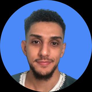 Adel K Développeur WordPress