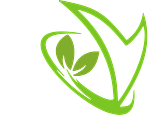 vitalitesurmesure.fr