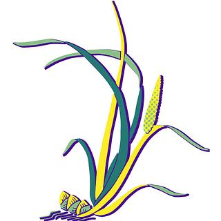 HerveM1 Développeur web