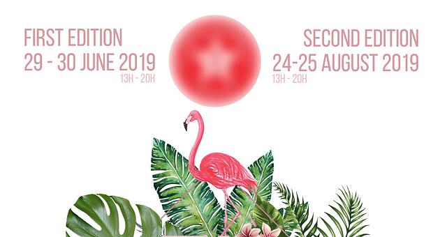 Création d'affiche par Caroline Meulenijzer