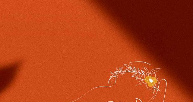 Création logo et charte graphique par Marie Josselin