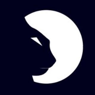 souldev Agence de développement web