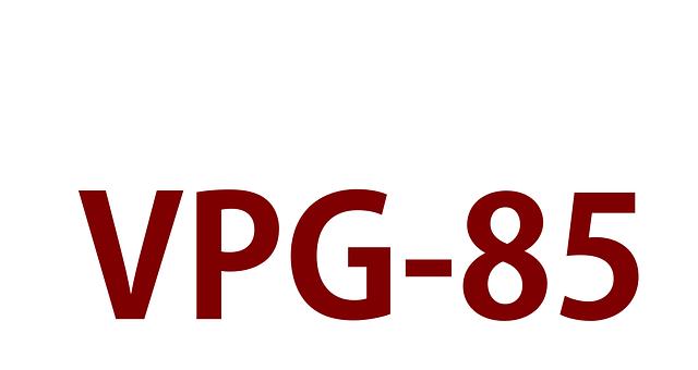 VPG - Logiciel de caisse par Emmanuel Fort