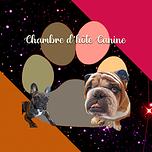 Chambre d'Hôte Canine