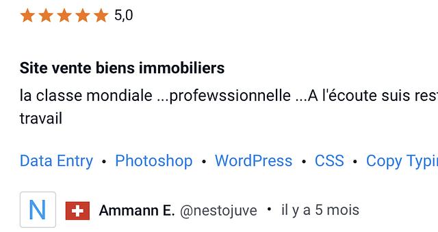 Finalisation d'un site web immobilier  par Sandy Grassineau