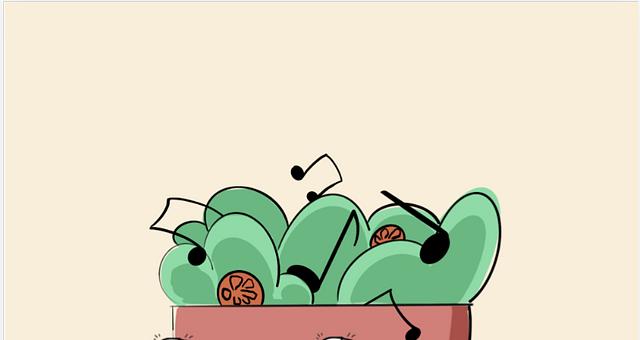 songsalad.com par Valentin Chauveau