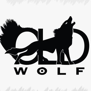 WolfCompany Agence web