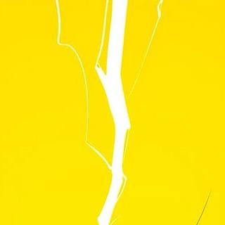 wintechfactory Agence de webdesign