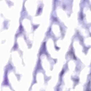 Rémi Rovri Développeur WordPress