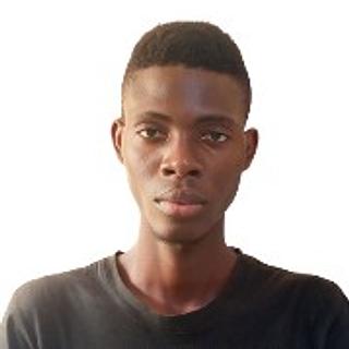 Mahougnon Wilfrid  Abahi  Rédacteur web