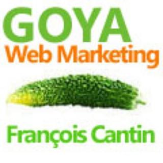 Francois Cantin Consultant SEO