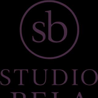 Studio Bela Webdesigner