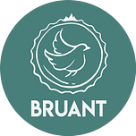 Bruant Entreprise