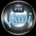 Ptit_Kiwi Agence Wix