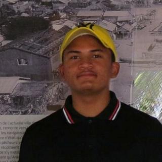 Lionel Herimanjato Développeur de plugin