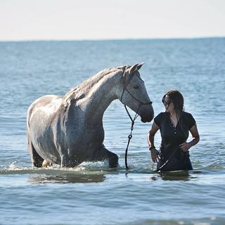 Camille Simorre Photographe