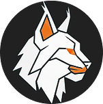 Studio Lynks