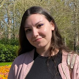 Nolwenn Laurent Monteur vidéo