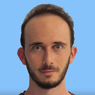 Simon Moinet Développeur WordPress