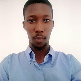 Malick Diallo Rédacteur web
