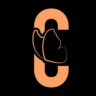 Marylou Lecluyse Graphiste spécialisé en charte graphique