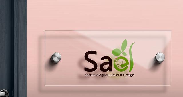 Identité Visuelle SAEL par Pekegno