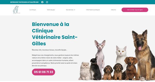 Développeur  de cliniqueveterinairesaintgilles.fr par Remy Cornet