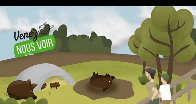 Présentation de la ferme - Vidéo en motion design  par Audrey Perrot