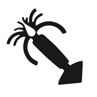 zion-montage-audio-video Monteur vidéo