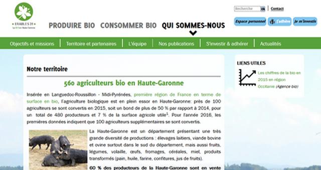 Erables 31 par stephane_charbonneau