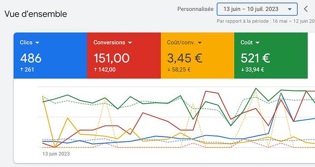 Google Ads Account Manager  par Anaïs Libbrecht