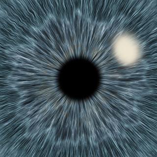 Guillaume Barbaise Développeur front-end