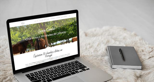 Création d'un site Internet par bleu_petillant