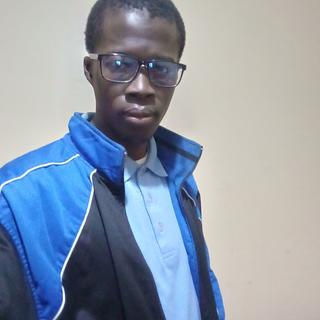 Habibou Diedhiou Développeur JavaScript