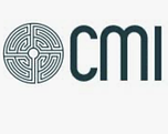 CMI Stratégies