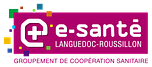 E-SANTÉ