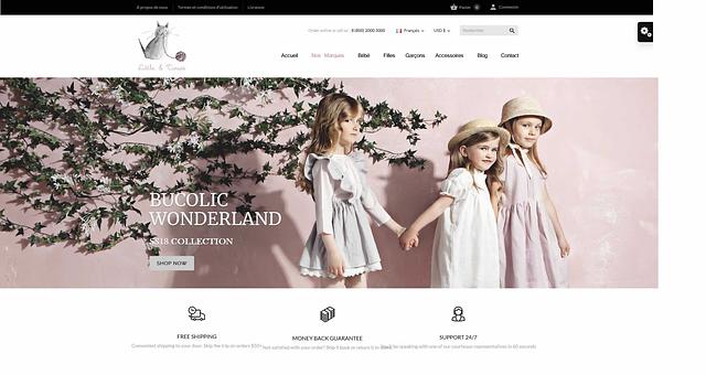 E-commerce par lemon-creative