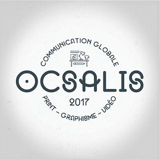 Ocsalis Agence développement spécifique