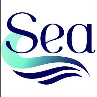 Sebastien Escudero Développeur React