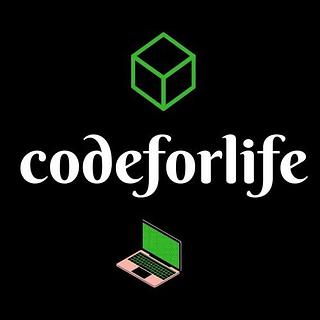 Wissem Hafsa Développeur WordPress